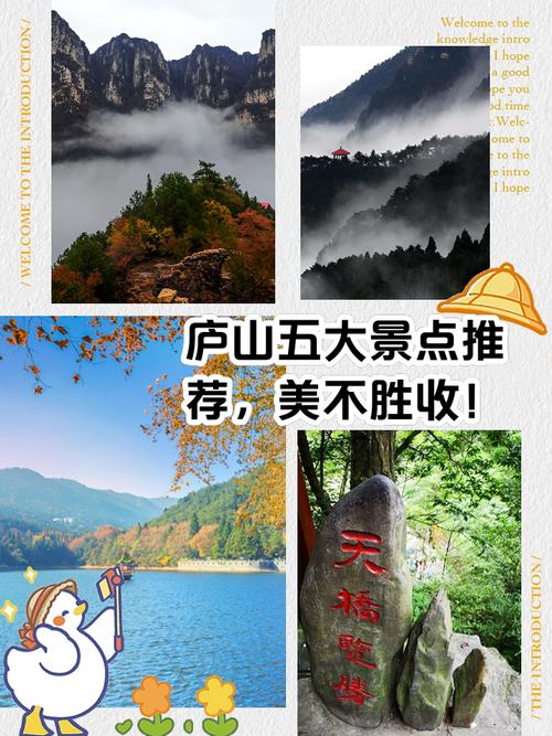 庐山经济住宿哪个网站口碑好