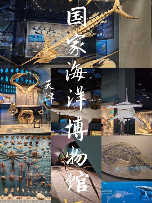 天津国家海洋博物馆门票预约流程及地址