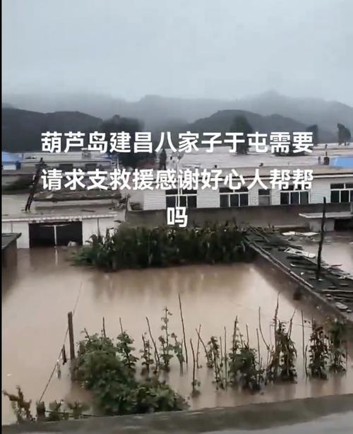 辽宁近期雨水情况