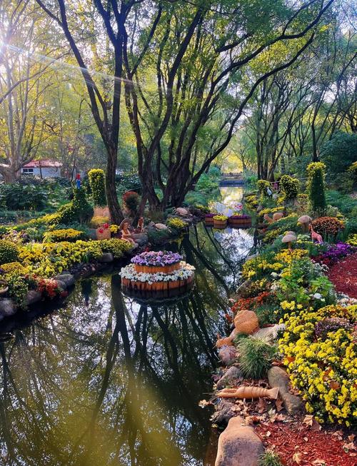 共青森林公园项目收费表,详细介绍及费用说明