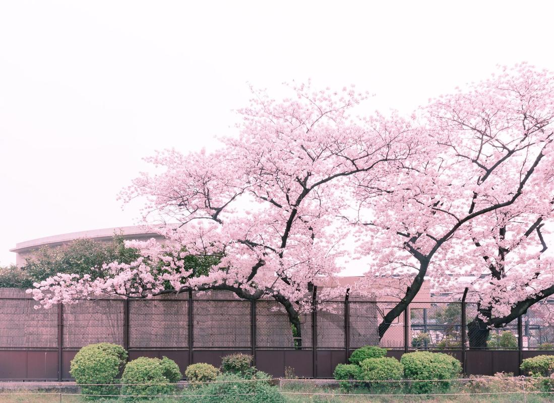 这个季节出国旅游去哪里玩比较好?