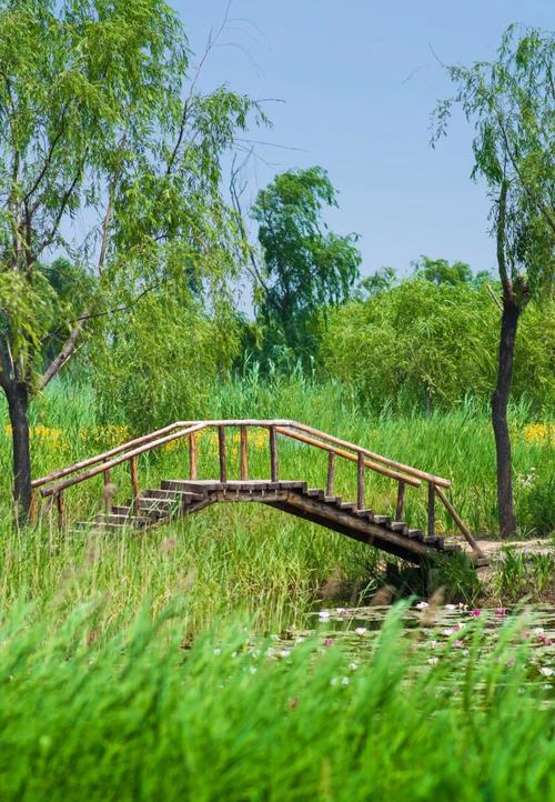 现在这个季节适合去哪旅游