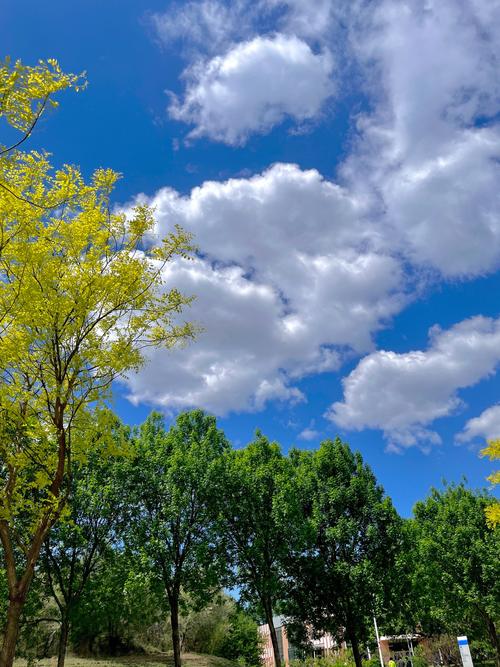 北京特大暴雨引热议,气象武器还是自然天气系统?