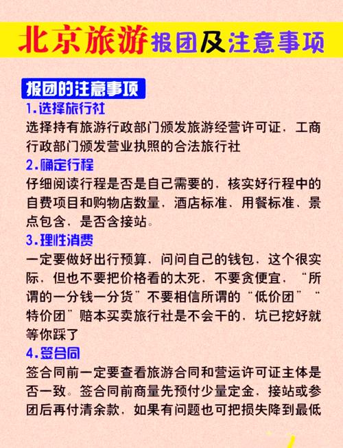 怎么报旅行团