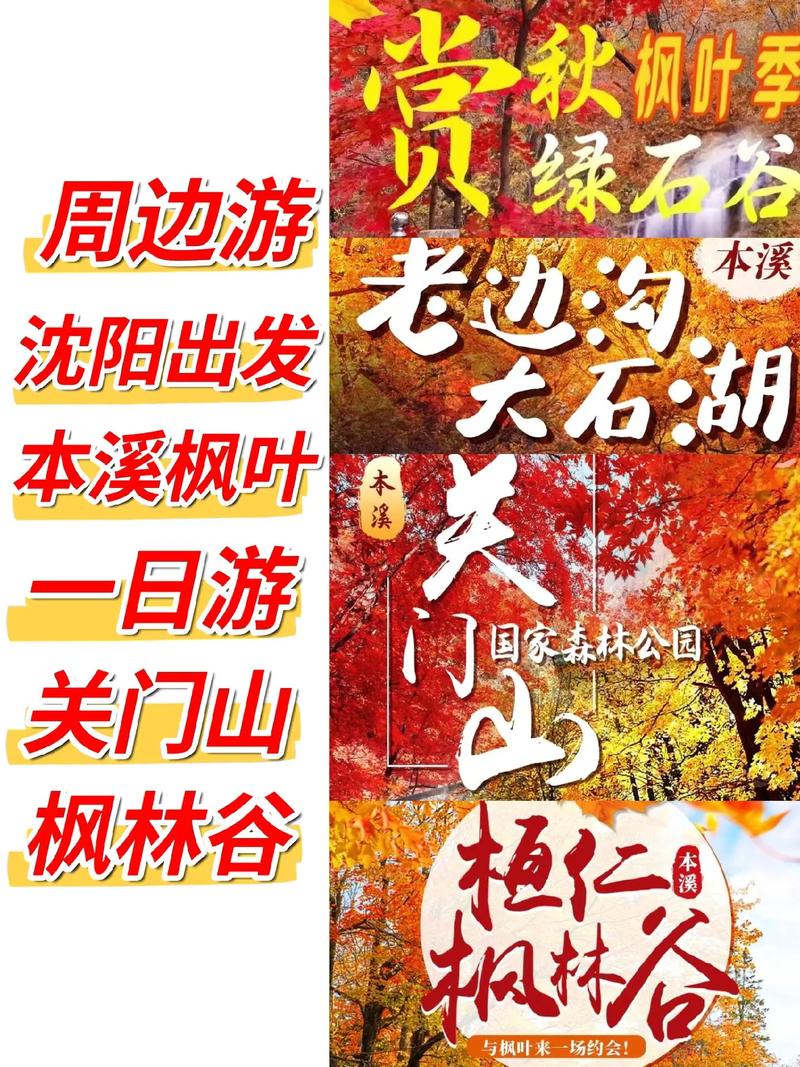 沈阳国内旅游社哪个好(沈阳市旅行社哪家比较好)