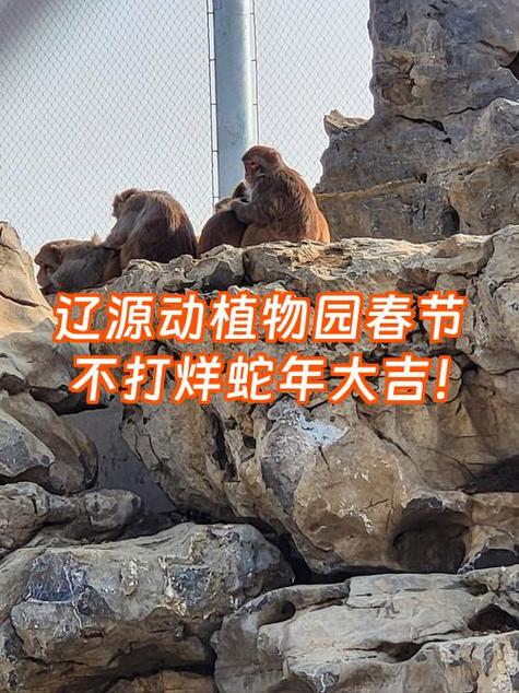 辽源市动植物园门票