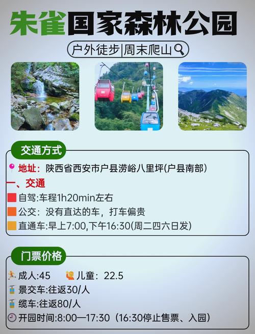 有哪些去西安朱雀森林公园游玩的攻略?