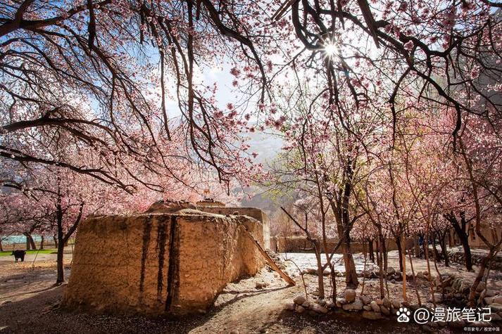 哈密市前十景区