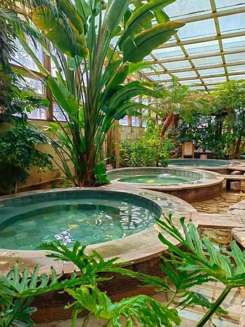 宁夏三大天然温泉