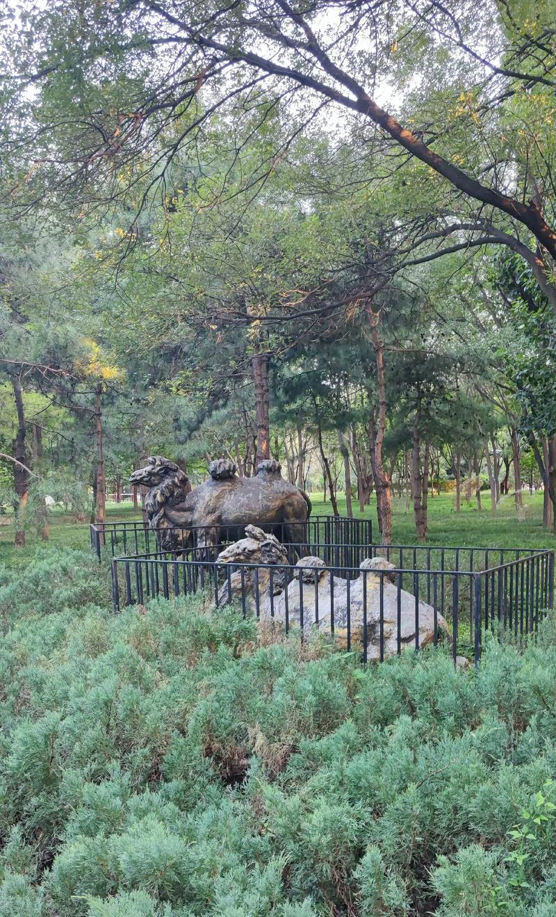 将府公园从哪个门进比较好