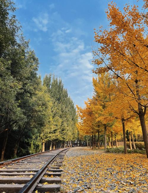 北京将府公园游玩攻略