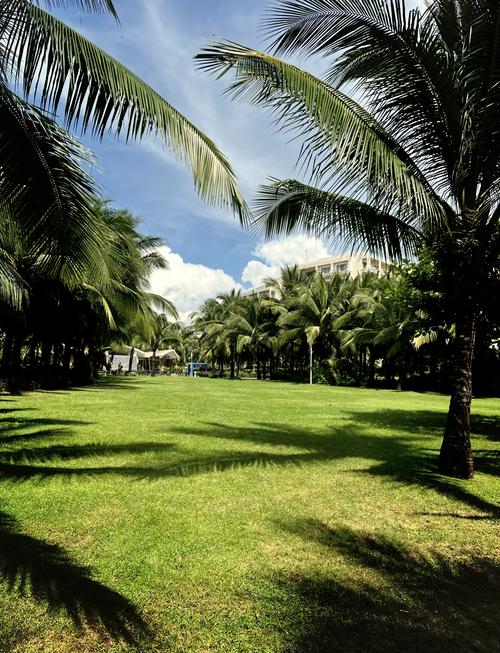 三亚的亚龙湾和海棠湾,哪个好?