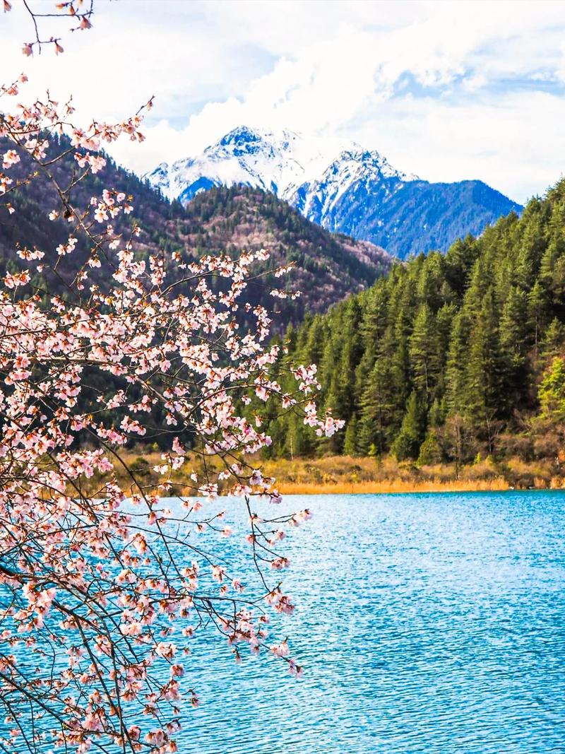 4月份去哪里旅游比较好国内