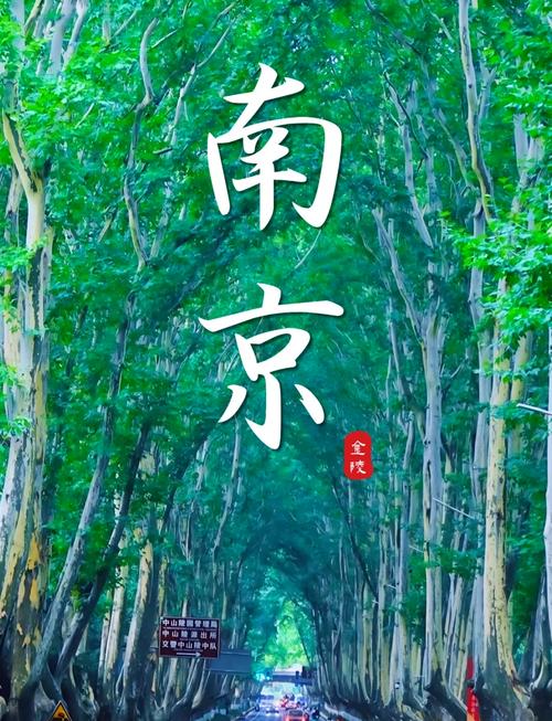 南京免费旅游景点大全