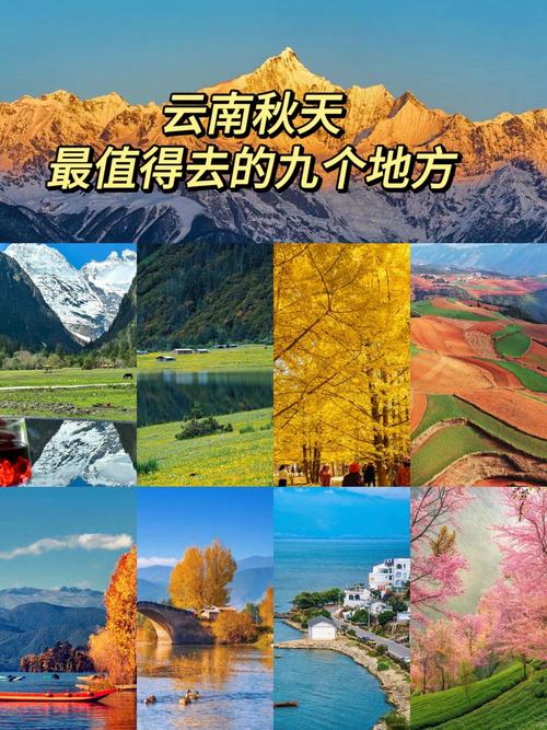 云南夏天最凉快的地方有哪些城市