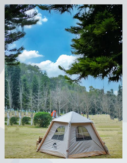 温州露营最佳地点