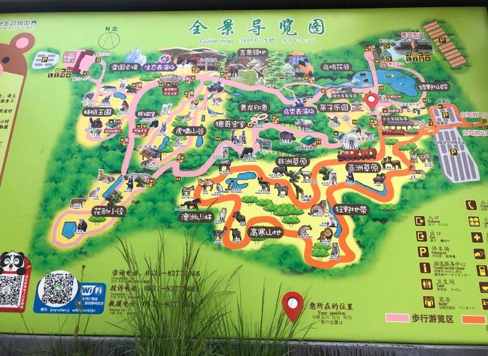 去济南动物园老年人买票吗?