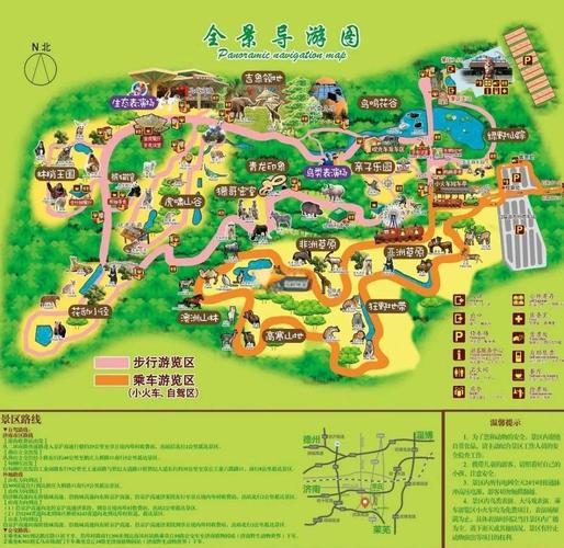 济南野生动物园自驾还是步行好?进去后走什么路线最合适?