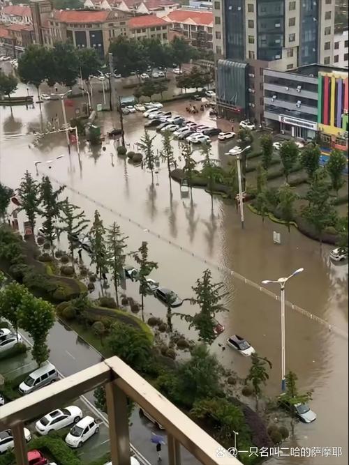 临沂受台风影响吗