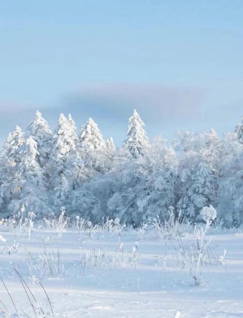 哈尔滨元旦会下雪吗