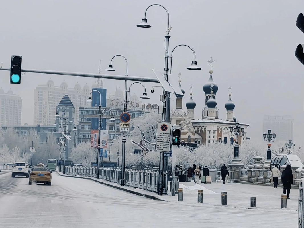 2024年哈尔滨下雪了吗
