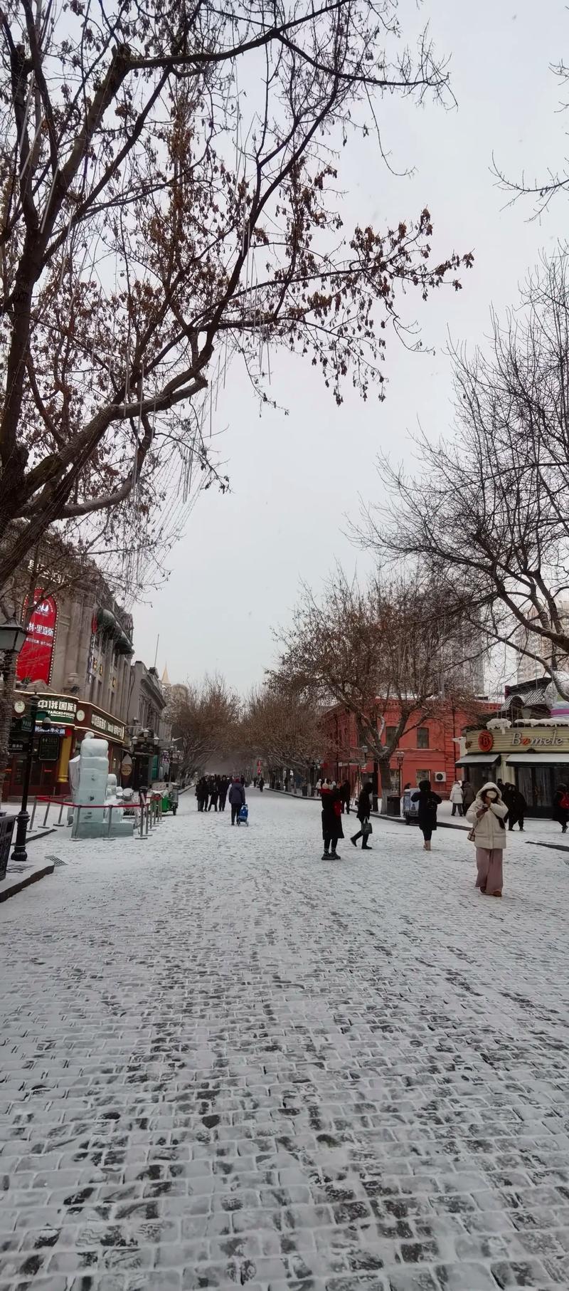 哈尔滨什么时候下雪?