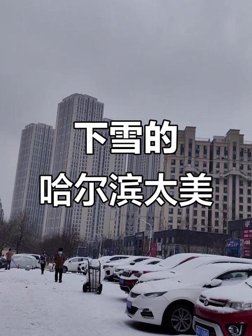 哈尔滨大概什么时候开始下雪?