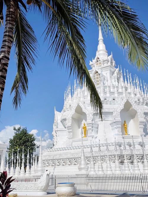 西双版纳建议开车去吗,版纳旅游自驾游