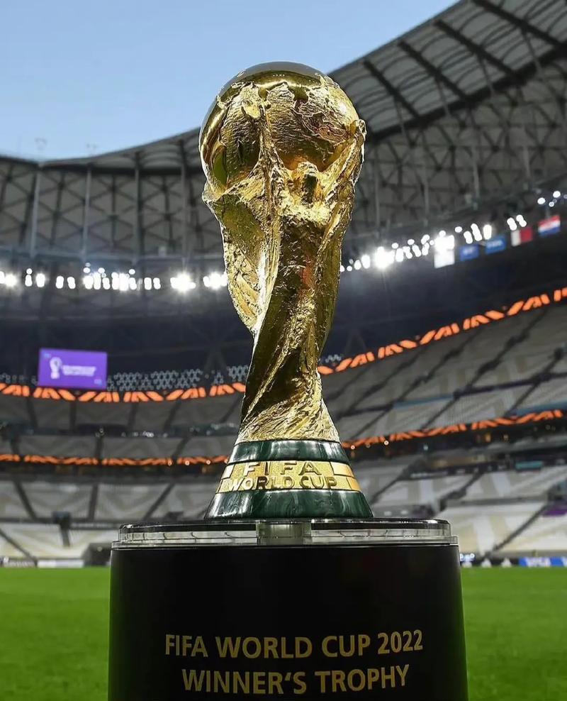 卡塔尔世界杯哪一个门将给杀了球员