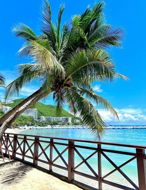 大东海旅游区多久能游览完