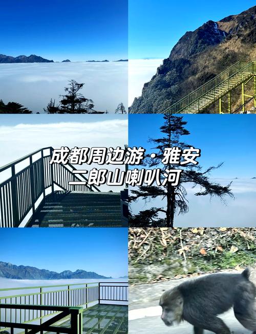 成都周边有哪些适合一日游的好玩地方?