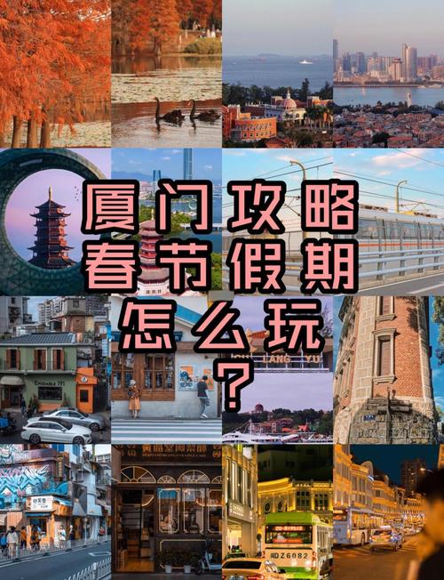 春节旅游厦门北海对比(北海和厦门旅游哪个好)