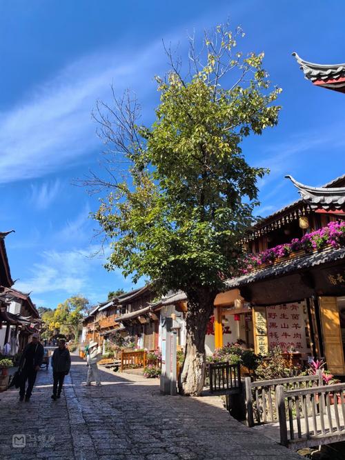 十一月去丽江怎么样