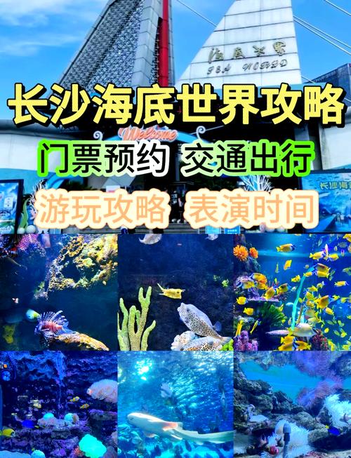 万家丽广场游玩攻略