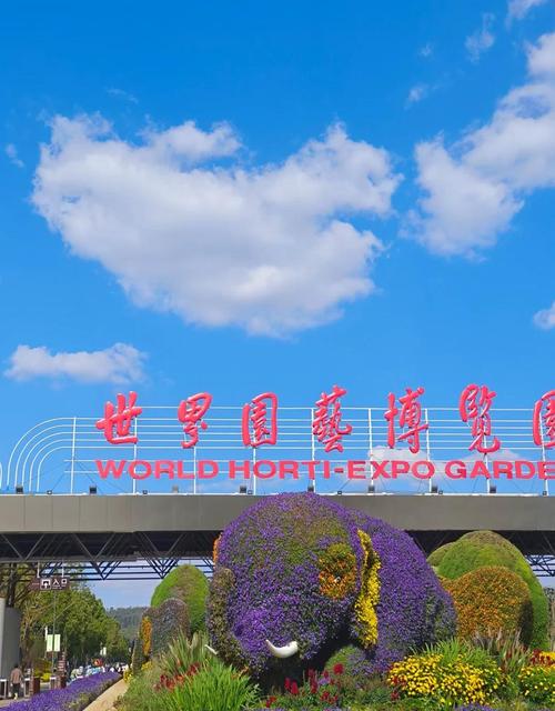 2023世博园门票免费吗现在,最新消息揭秘