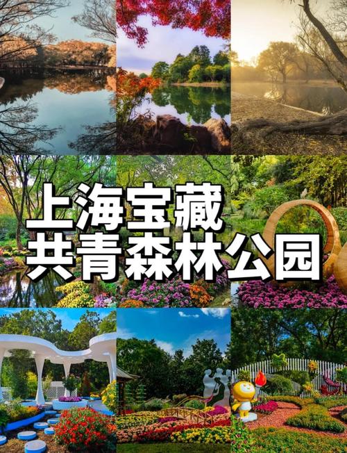 上海共青国家森林公园攻略