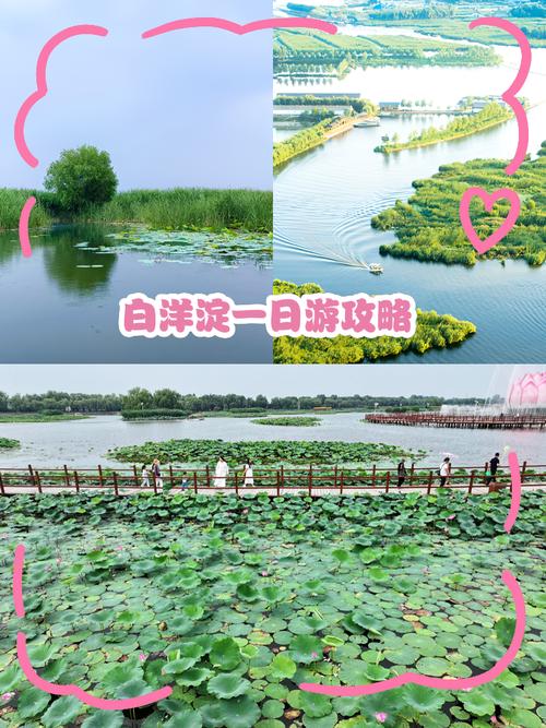 白洋淀旅游攻略自驾游一日游