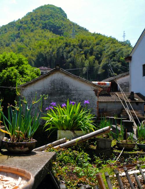 宁波有什么最美的古村落?