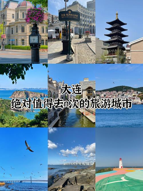 假期大连的宝子看这里大连超全