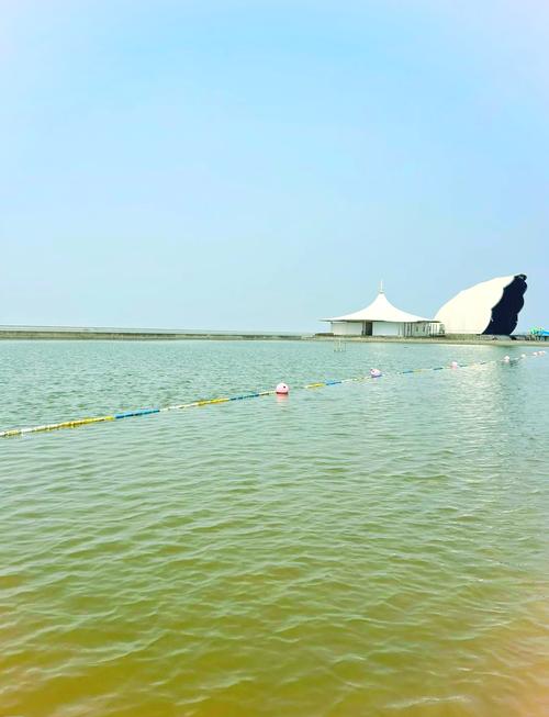 上海奉贤一日游必去景点