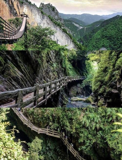 重庆主城夏天那里凉快