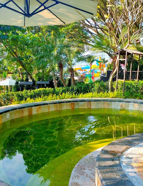 广州市温泉度假村哪里好增城碧桂园金叶子温泉度假村值得一去