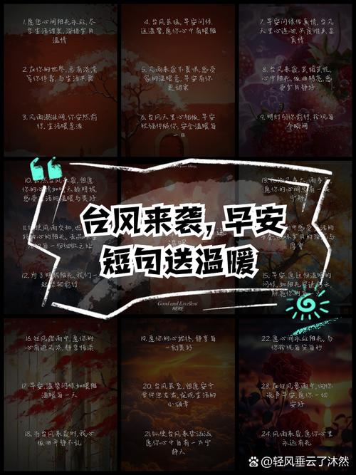 遇到台风,应该怎样去安慰自己的朋友?