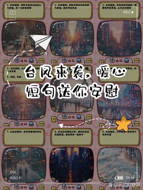 台风给客户的关心问候短信