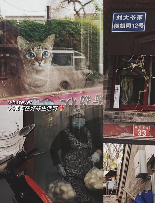 北京一日游去哪里比较好周边旅游?